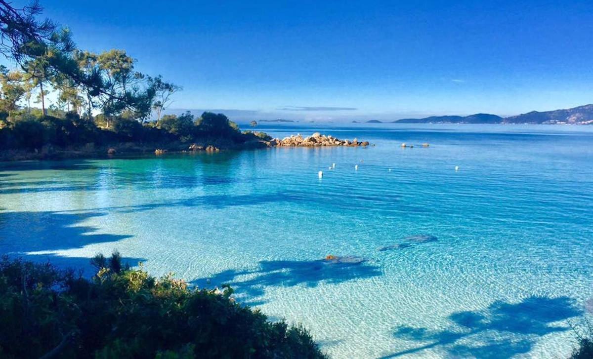Le Pelican Magnifique F2 Ajaccio  Exteriör bild